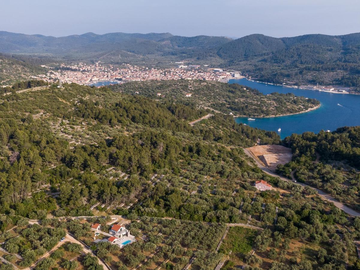 Villa Barbara - Olive Paradise, With Chlorine-Free Pool Vela Luka Zewnętrze zdjęcie