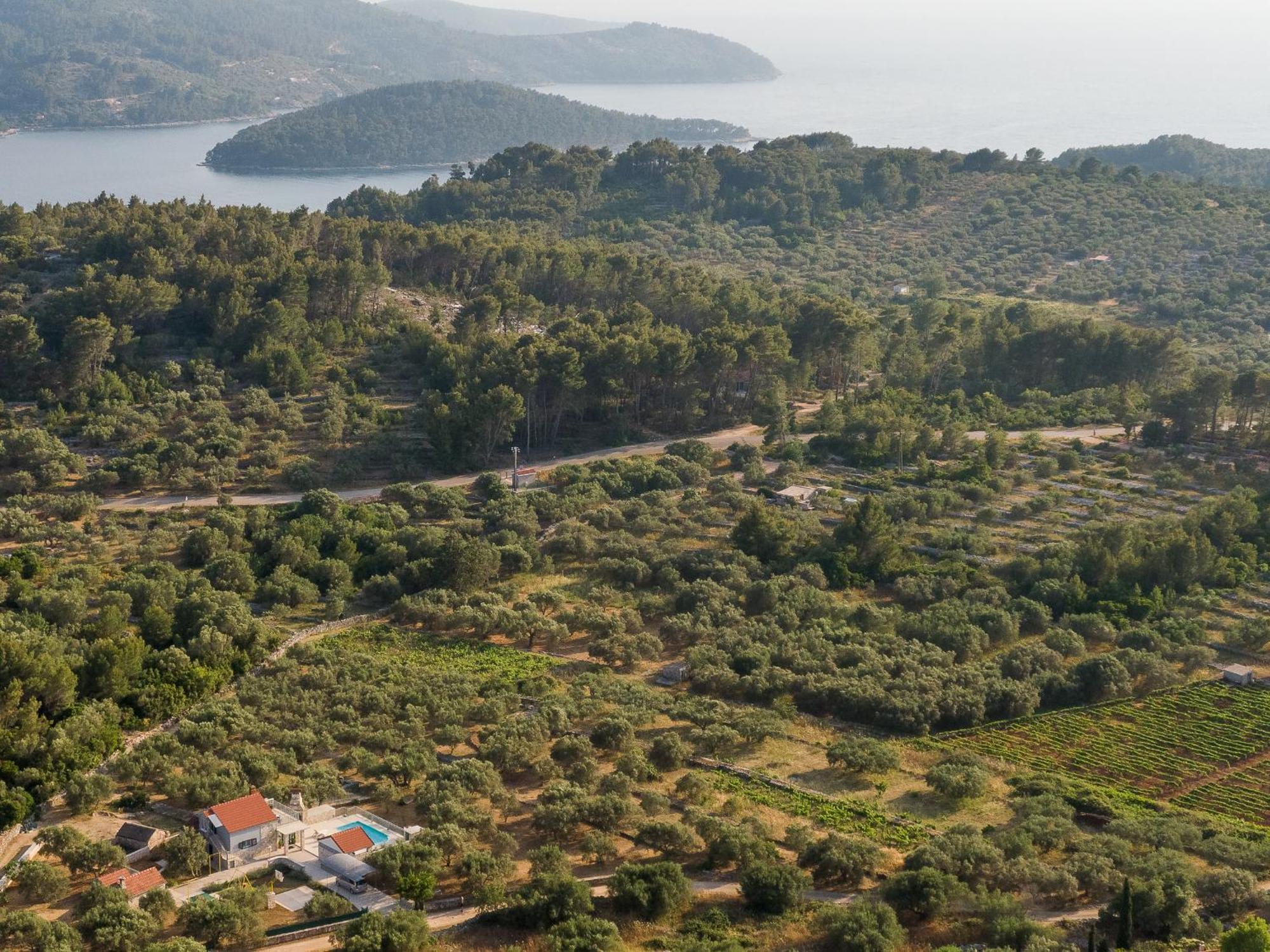 Villa Barbara - Olive Paradise, With Chlorine-Free Pool Vela Luka Zewnętrze zdjęcie